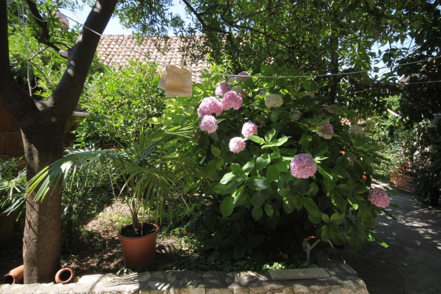 Apartment Milu - 80 M From Sea